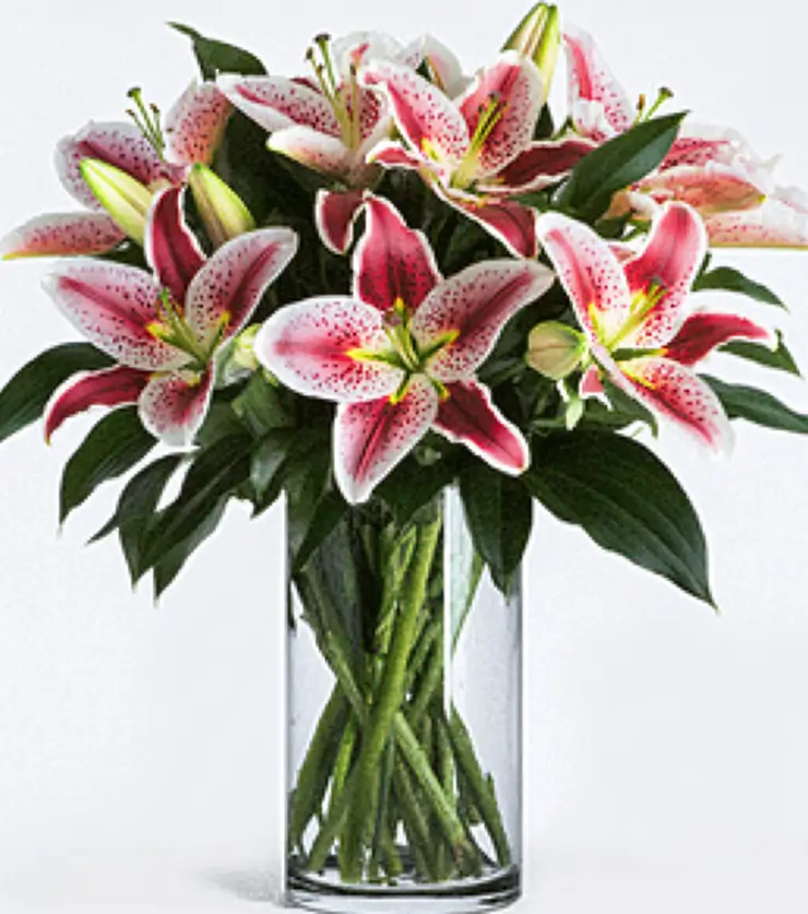 Birthday lily surprise