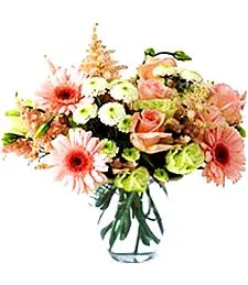 Heartfelt Expressions