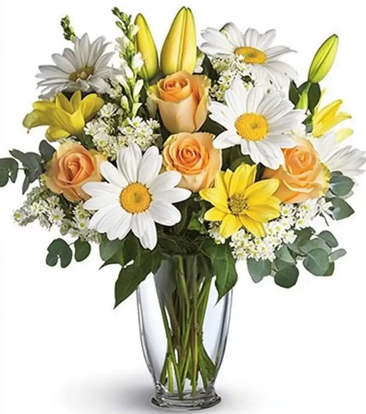 Bask in the Morning Sun