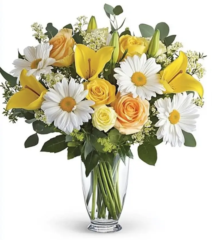 Bask in the Morning Sun