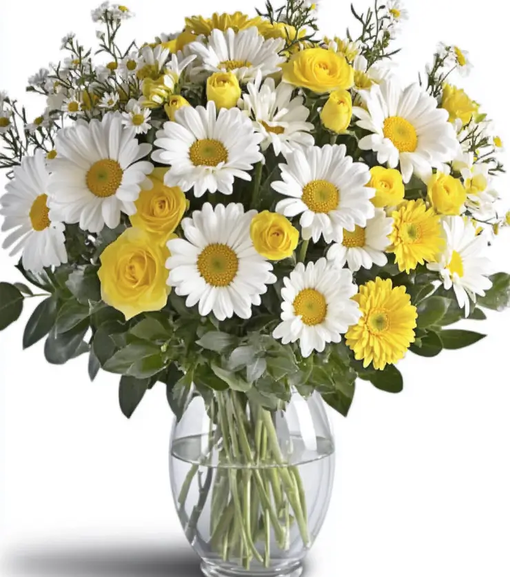 A little piece of heaven