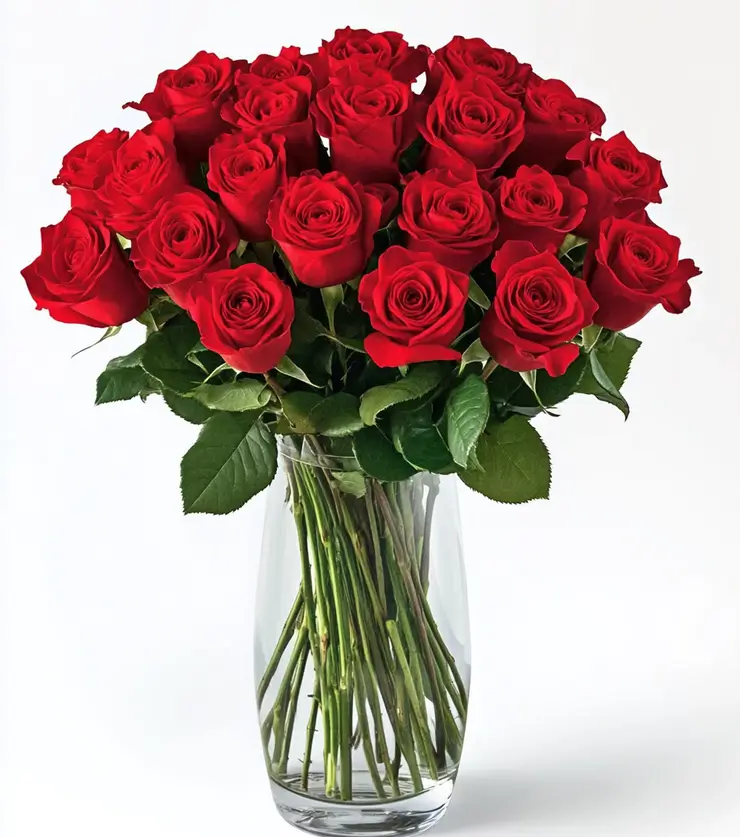 24 roses for every occasion