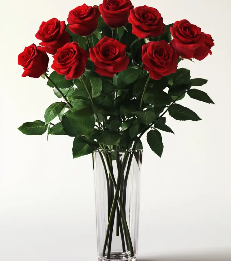 One Dozen Red Roses