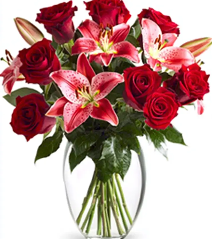 Island Princess Retreat